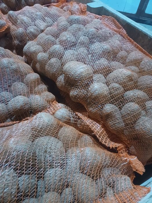Cartofi albi si rosii de consum ambalați la 25 kg si la 10 kg