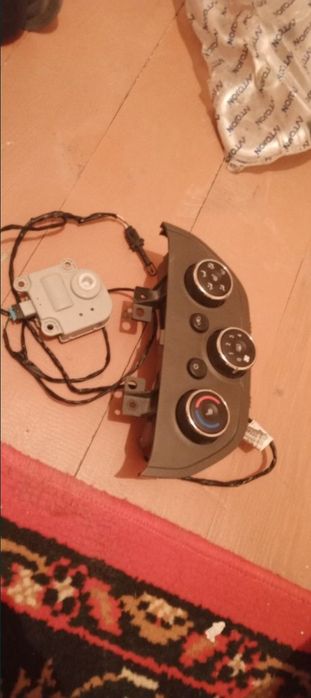 Kandisaner Kaptiva malibga koʻbit  neksiya jentra bor