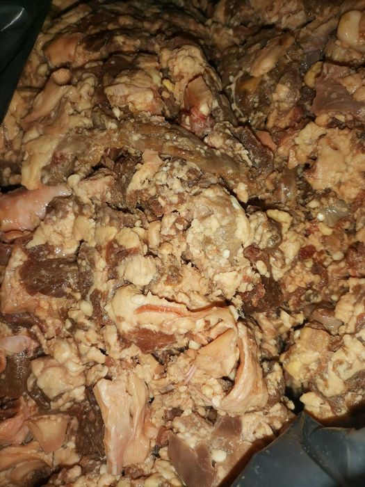Храна за кучета