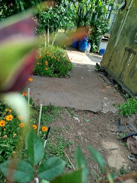 Продаю дачу в Майском. Свт "звёздочка"