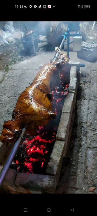 Чевермета,скари,шишове, барбекюта
