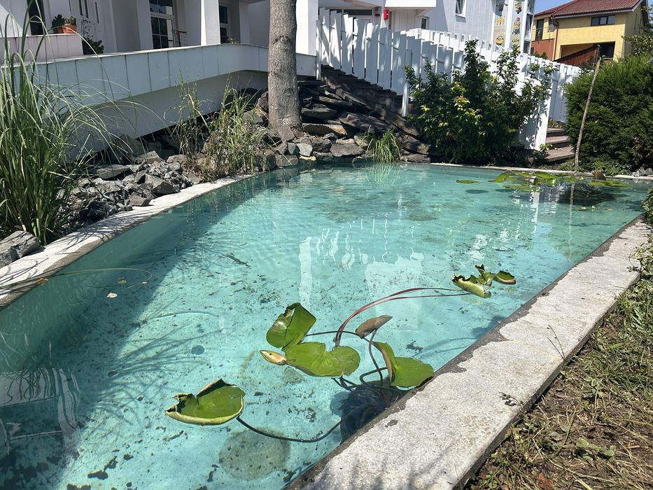 Amenajare, mentenanta acvarii si iazuri