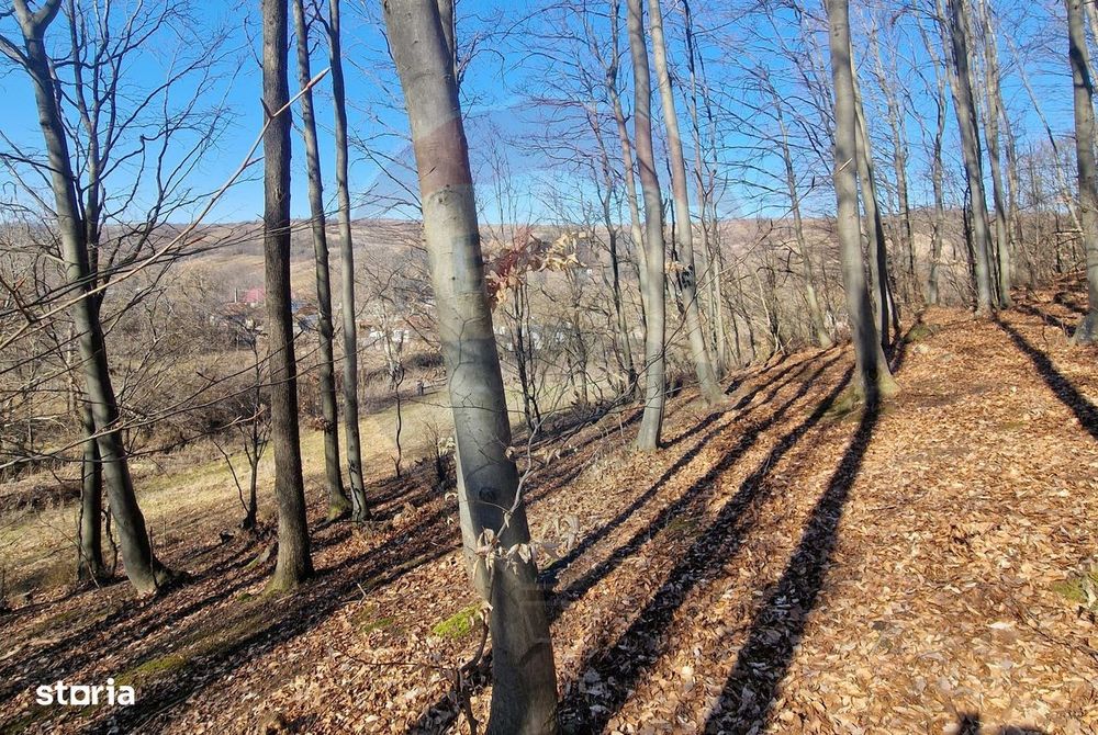 Teren de Vânzare în Pâncești (Sascut)