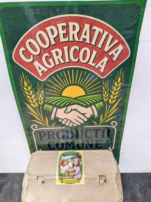 Ouă de la țară găină și rata