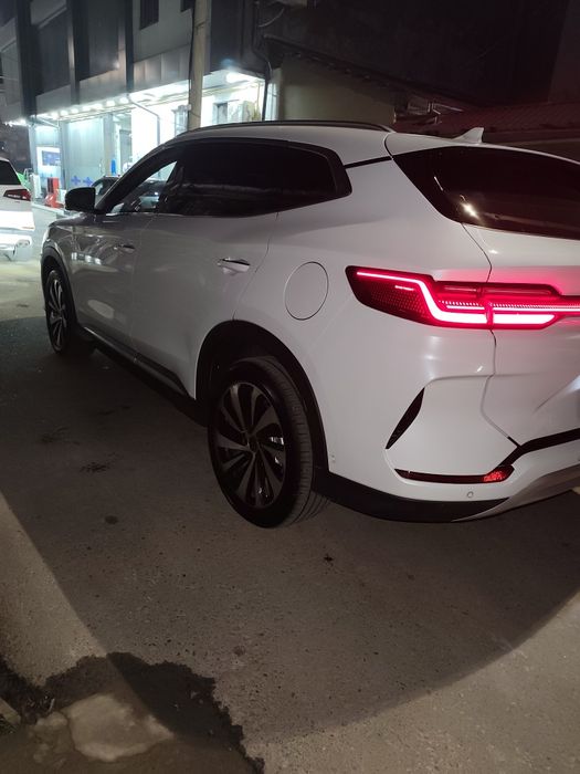 BYD. Чинпийон. 605.  Тали. Токда.