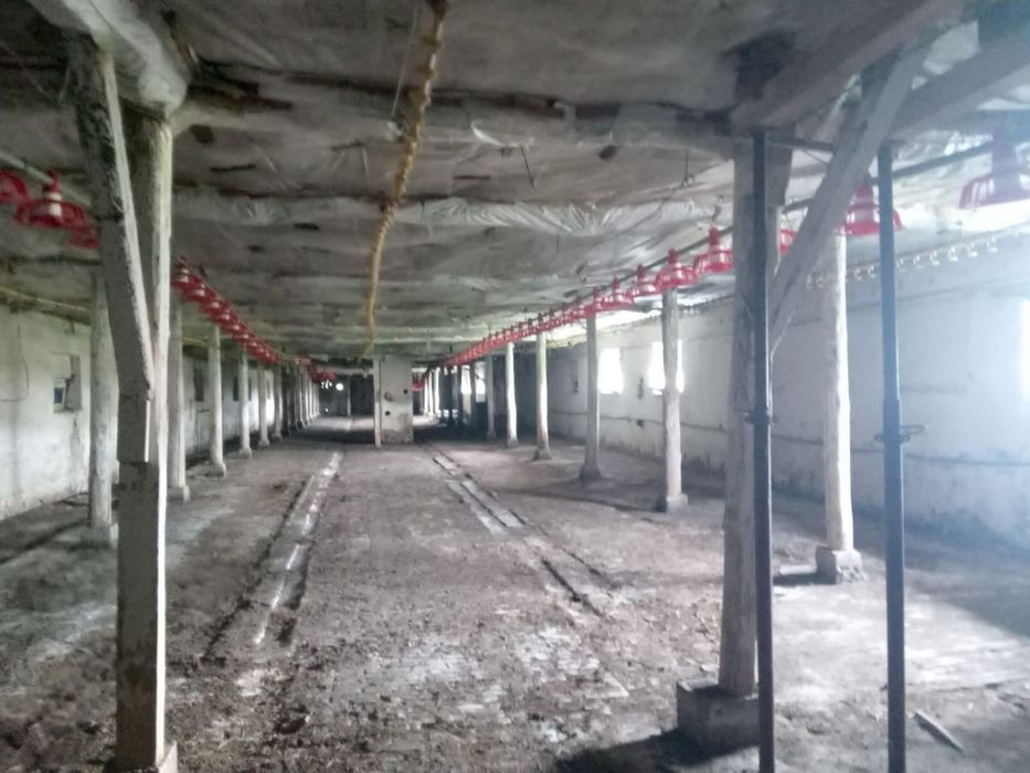 Продава се Промишлена сграда в с. Овчарово, Област Търговище - 640 кв.м за 63 €/кв.м - Снимка #1