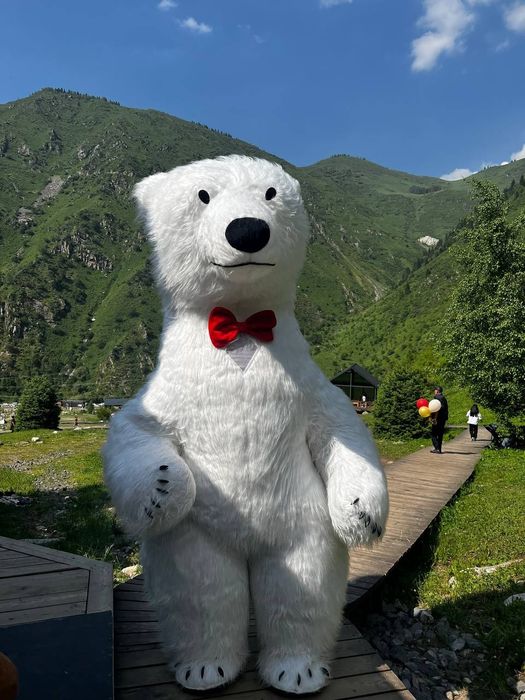 Белый Медведь Поздравление !