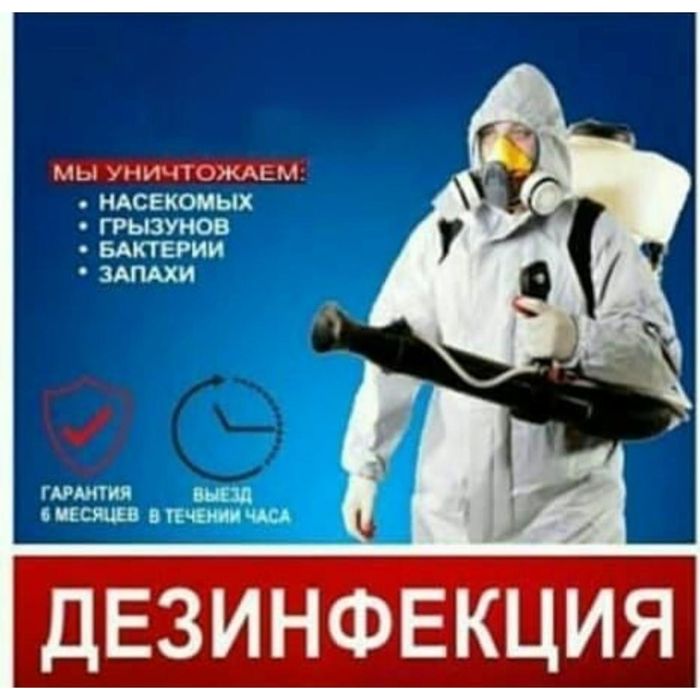 Профессиональная дезинсекция от насекомых в Астане/Гарантия/Результат.