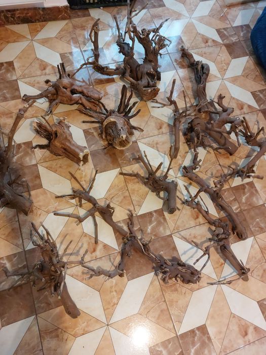 Vând cioate decor acvariu