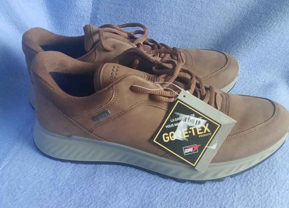 Ecco coretex номер 41.