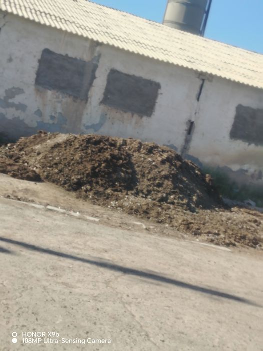 Товук дарси узингиз юклаб кетасиз