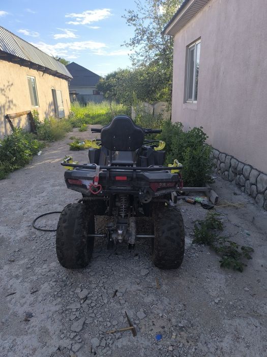 Mikilon Hamer 200