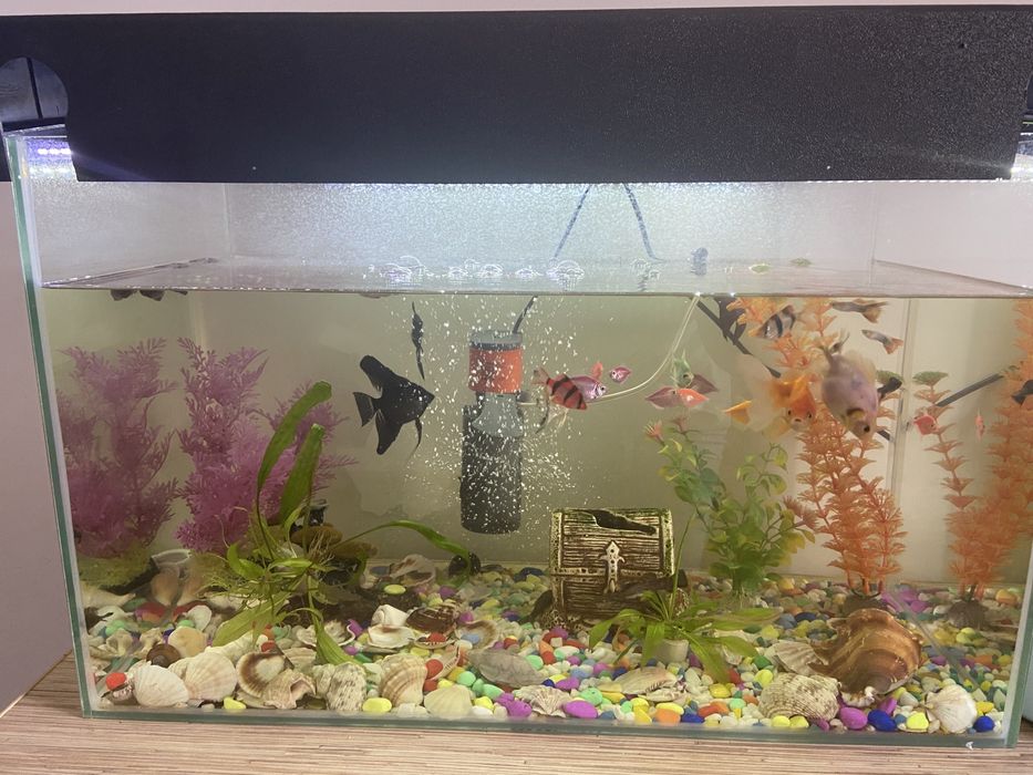 Продам большой аквариум