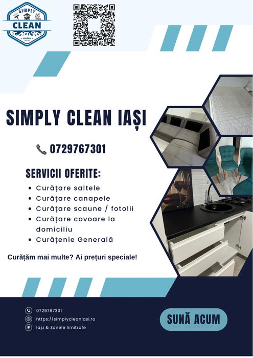 Curatare Auto, Canapele, Saltele, Scaune, Covoare / Curatenie Generala