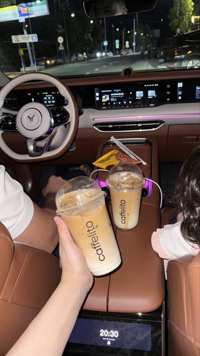 Voyah Free 2024 Ofitsial