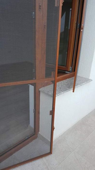 Plase insecte / tantari
