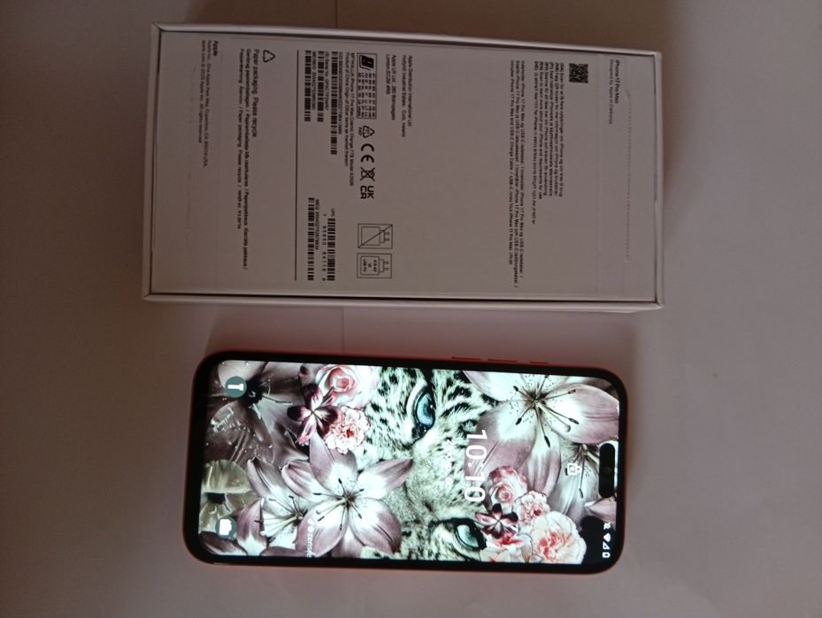 iPhone 17 pro max