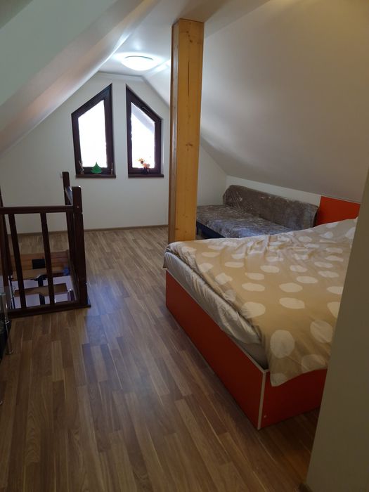 Penthouse Busteni