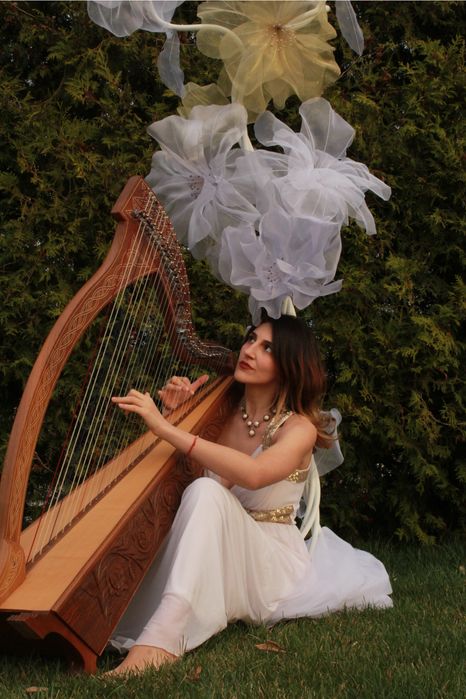 Harpă la evenimente