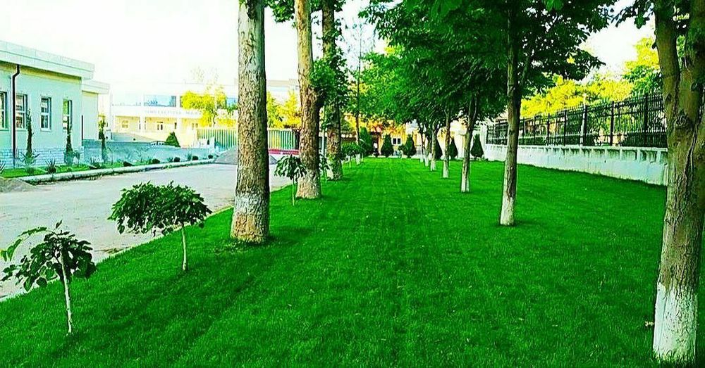 Газон екиш ланшаф Gazon ekish Xizmati Mutaxassis.