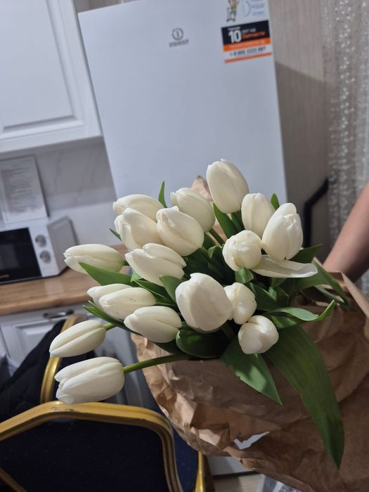 Тюльпаны местные