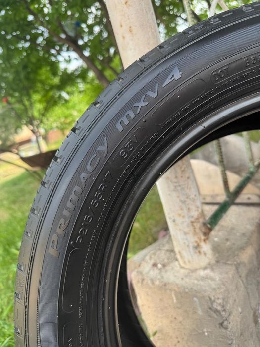 Michelin шины мишлен
