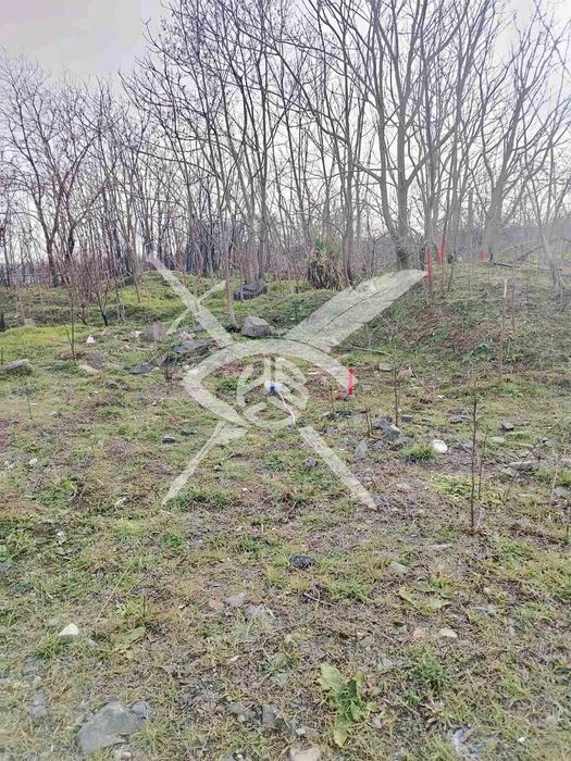 Продава се Парцел в Созопол - 2644 кв.м за 52 €/кв.м - Снимка #5