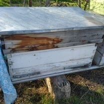 Пчелиные ульи б/у