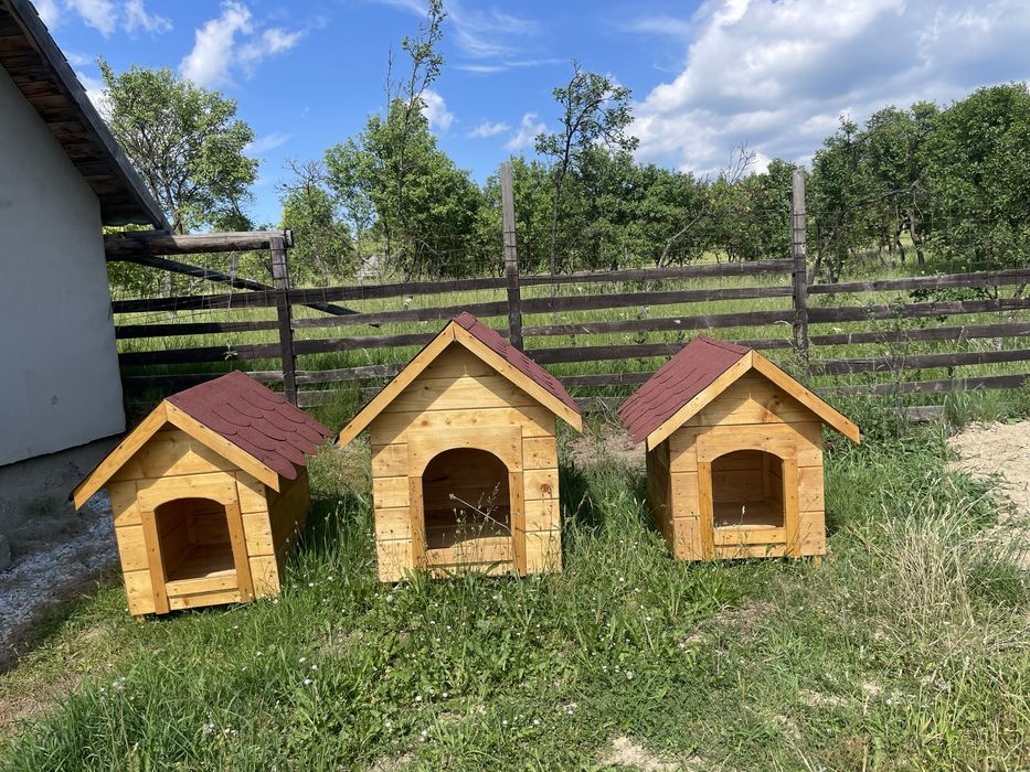 Cușcă pentru câine