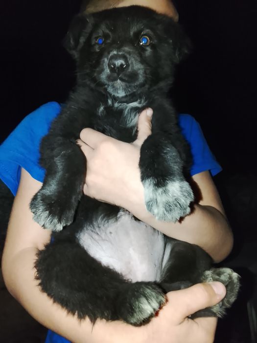 Малышка ищет дом