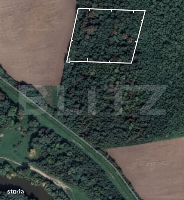 Padure 10.000 mp Șag – front stradal 100 m, zona in dezvoltare