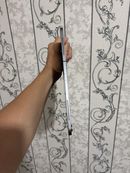 Ipad pro 12.9 256 gb
