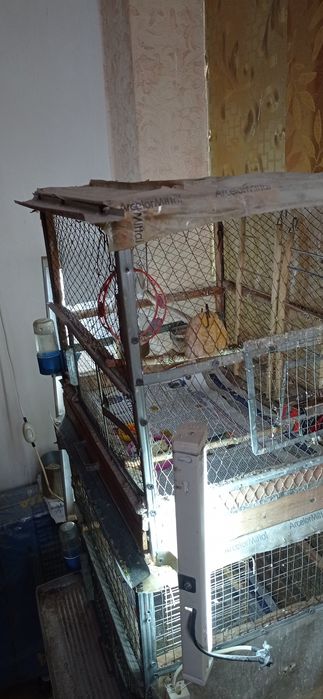 Продам клетки для попугаев с гнездами для птенцов