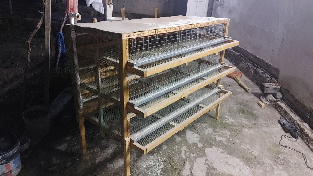 Bedana kataklar sotiladi