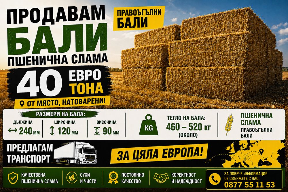 Бали пшенична и ечимяна слама