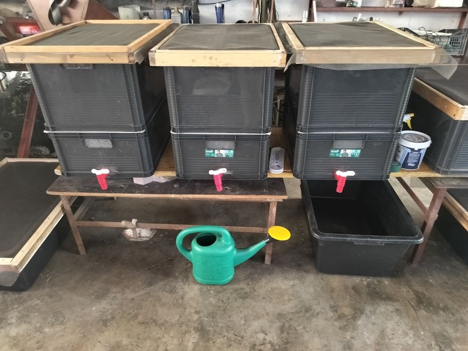 Vind afacere ferma de răme vermicultura,vermicompost