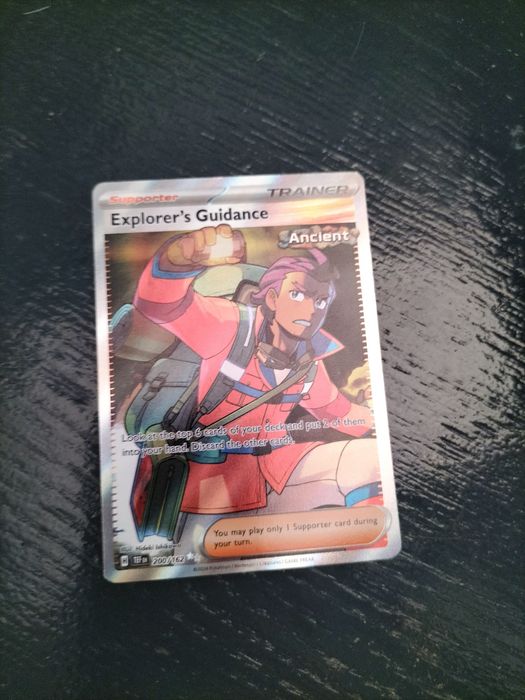 Explorer's Guidance (pokèmon card)