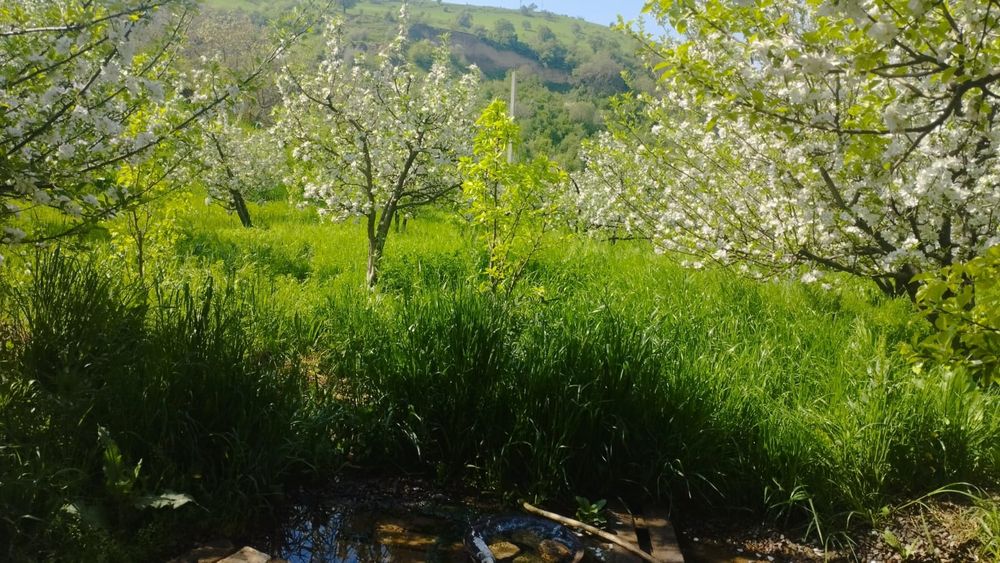 Дом продается в горах