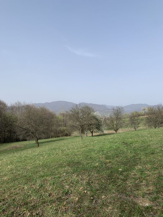 Teren 60 ari - in Cetatele, comuna Șișești, jud. Maramures