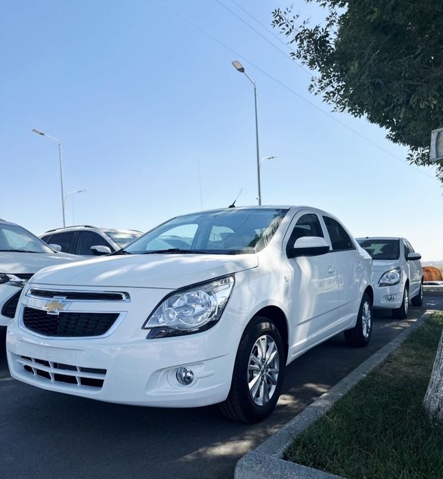 **‼️Cobalt gx style plus Masla‼️notarisli