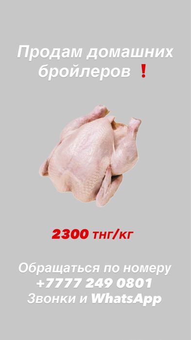 Бройлеры домашние