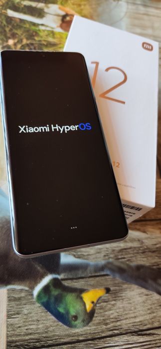 Xiaomi 12        .