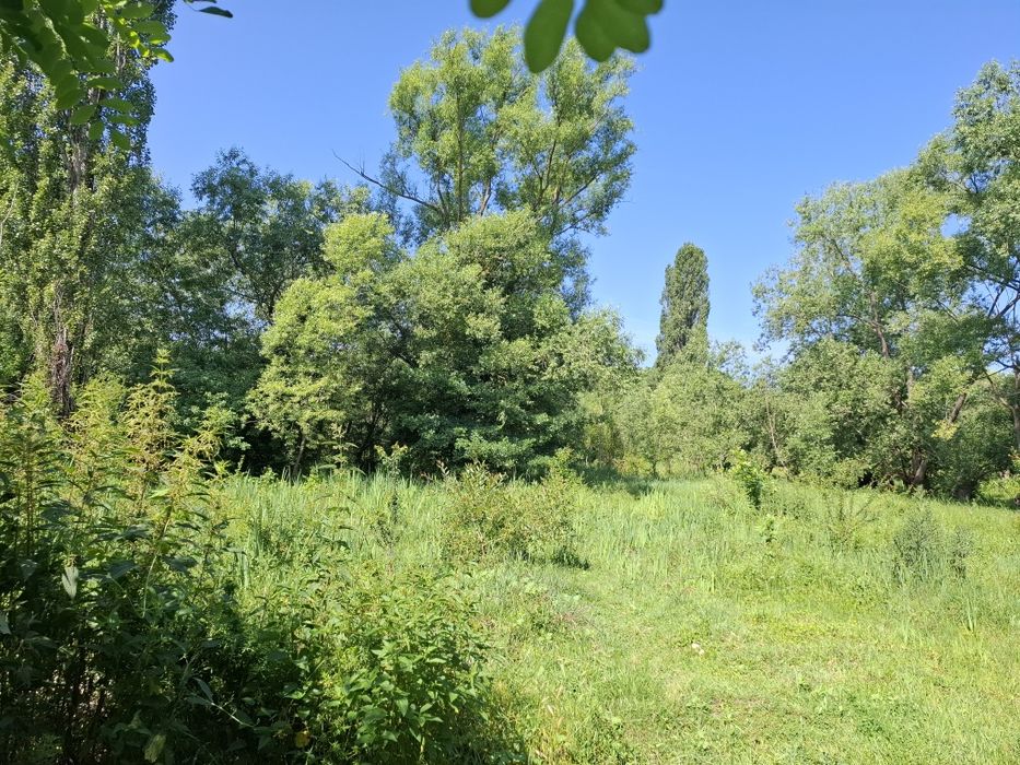 Teren intravilan cu toate utilitatile