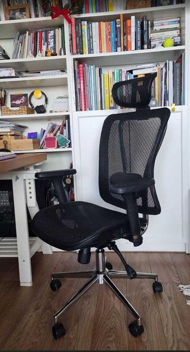 Scaun de Birou Ergonomic