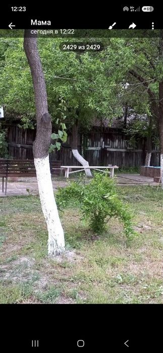 Отдам Доски даром