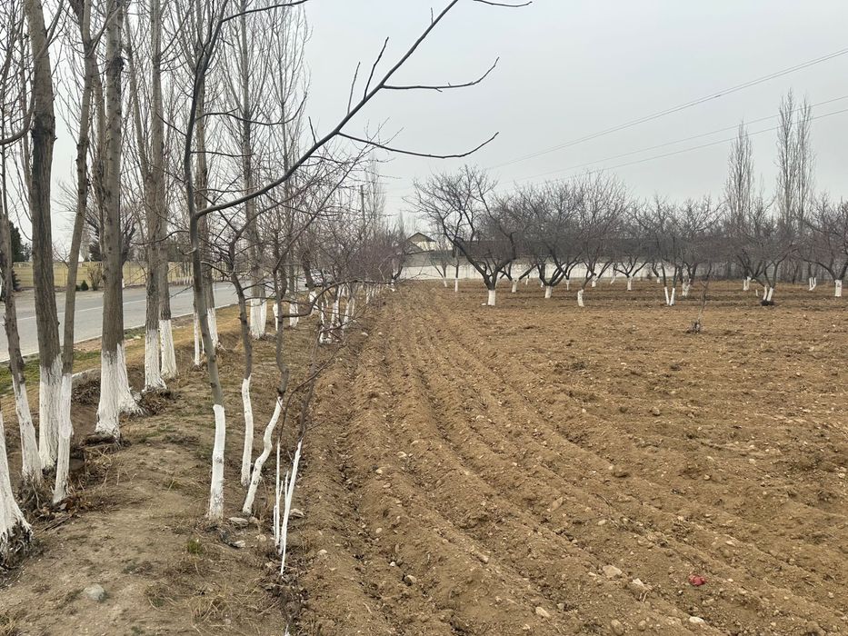 16 сотых ер зудлик билан сотилади