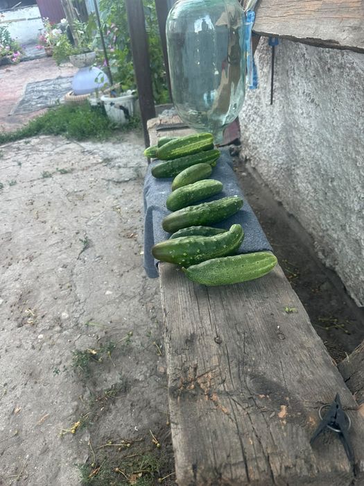 Продам .                            .
