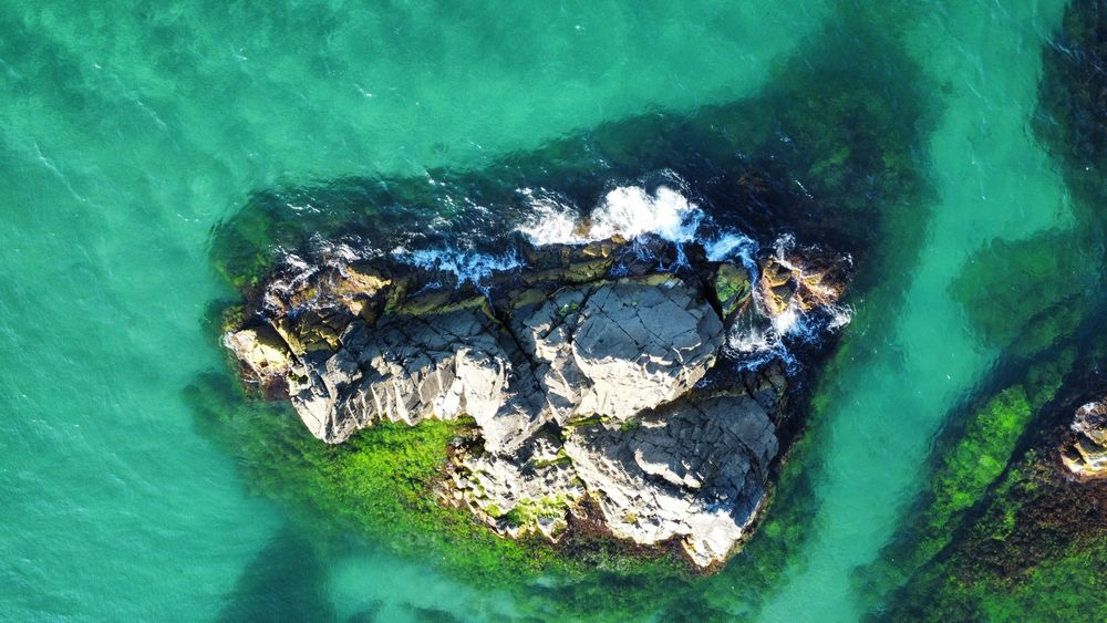 Дрон заснемане и видео монтаж – FPV, Mini дрон и наземно видео