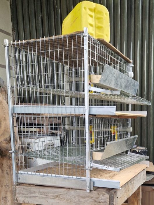 Клетка для перепелок (Перепелки, Бөдене)