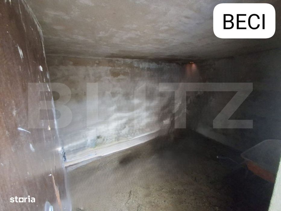 Casa 3 camere, 86mp, 310 mp teren, cu terasa si beci, Visani